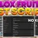 hack blox fruit – danh sach script hot